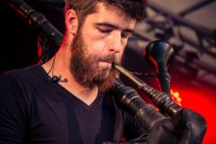 2019-07-12_195437_Draco-Faucium_Bild_9467