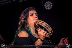 2019-07-12_195525_Draco-Faucium_Bild_9481
