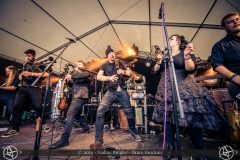 2019-07-12_200244_Draco-Faucium_Bild_1237