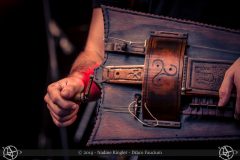 2019-07-12_201736_Draco-Faucium_Bild_9530